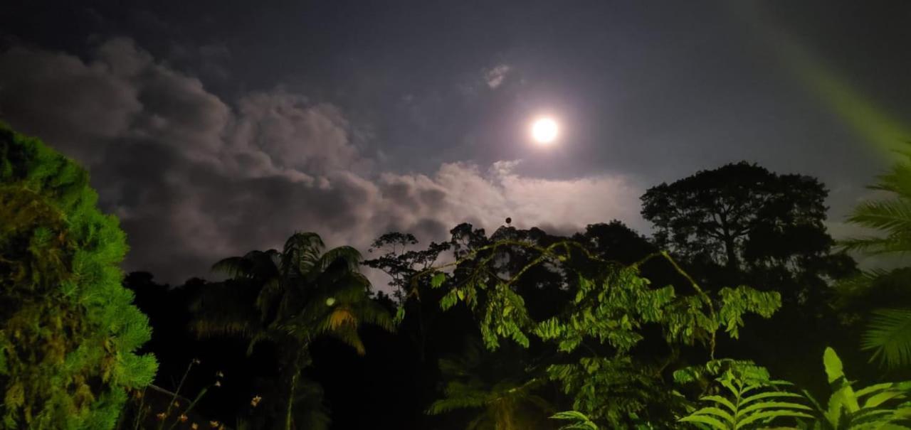 Yarina Eco Lodge Derna Kültér fotó