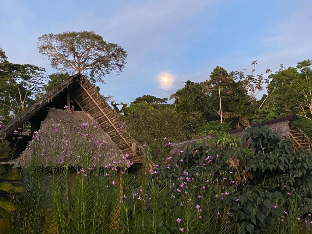 Yarina Eco Lodge Derna Kültér fotó